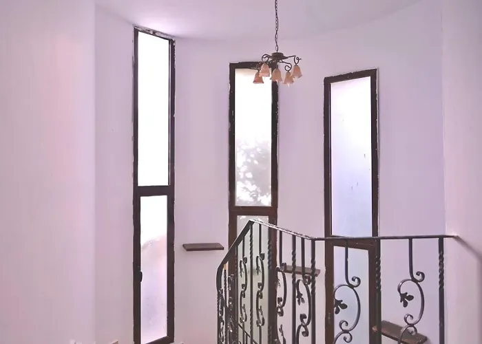جاز ليتل فينيس - Jaz Little Venice